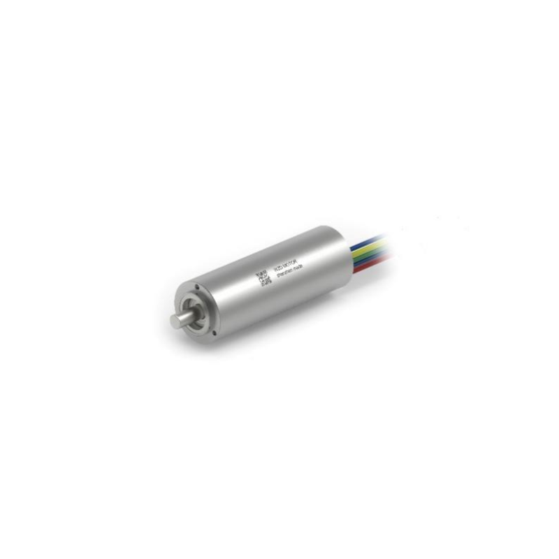 ECS  1337ıˢ